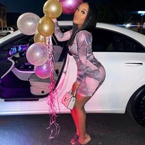 Constellations Long Sleeve Bodycon Ruched Mesh Mini Dress in Blush